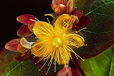 《一步一脚印》今日发售，从“罐装男人”到“废柴 Nate”《掘地求升》制作组带来全新折磨！